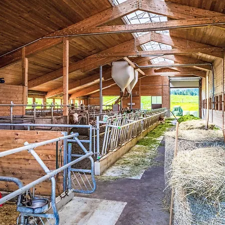 Appartamento Hanserbauer-2 By Interhome *