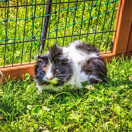 Hanserbauer-2 By Interhome Saalfelden