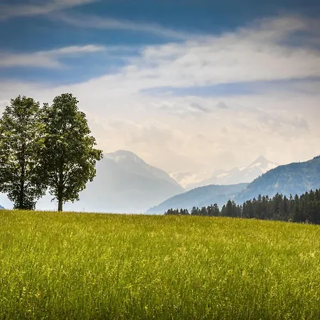 Appartamento Hanserbauer-2 By Interhome Saalfelden