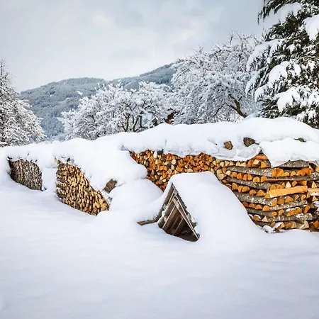 Hanserbauer-2 By Interhome * Saalfelden