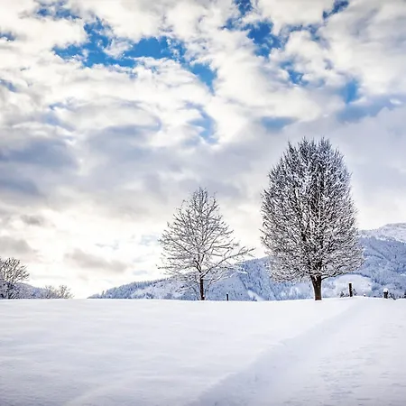 Hanserbauer-2 By Interhome * Saalfelden