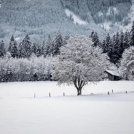 Appartamento Hanserbauer-2 By Interhome *