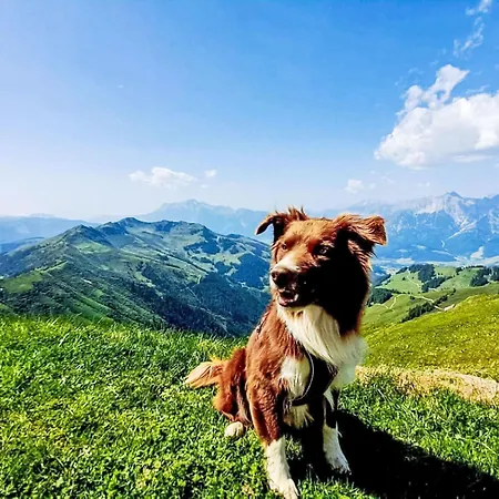 Appartamento Hanserbauer-2 By Interhome *