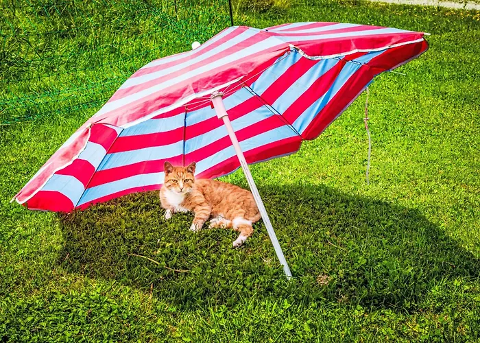 Hanserbauer-2 By Interhome *