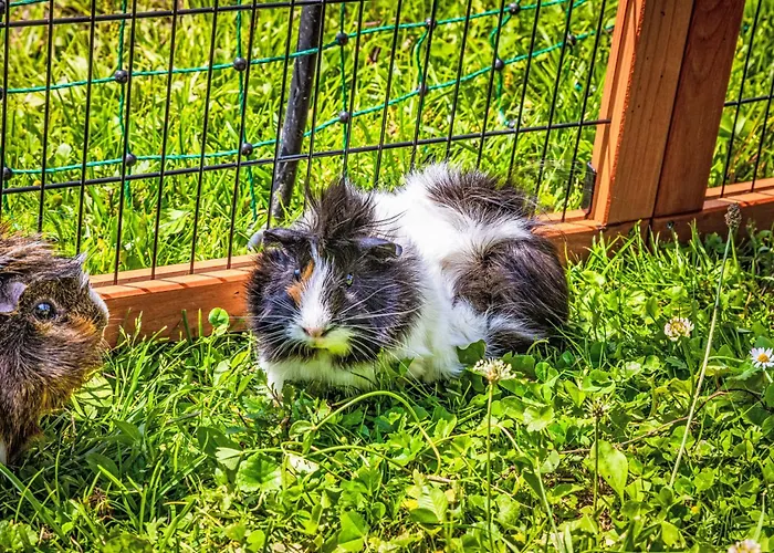 Hanserbauer-2 By Interhome Saalfelden