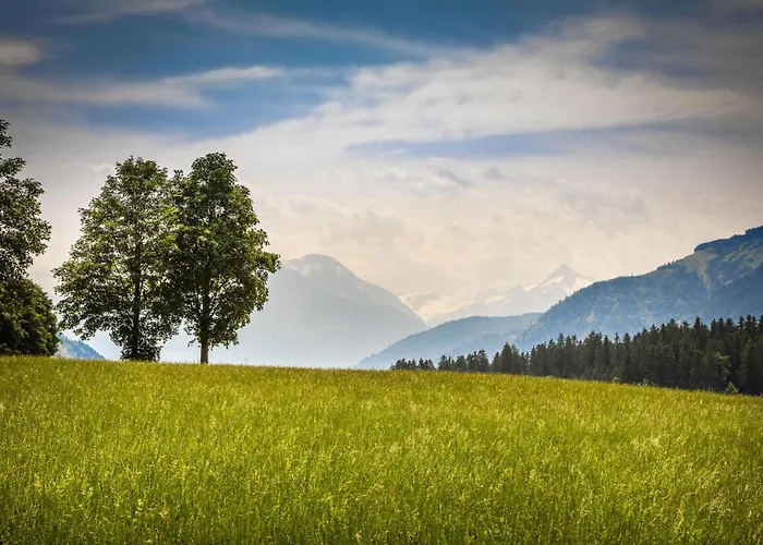 Apartamento Hanserbauer-2 By Interhome Saalfelden