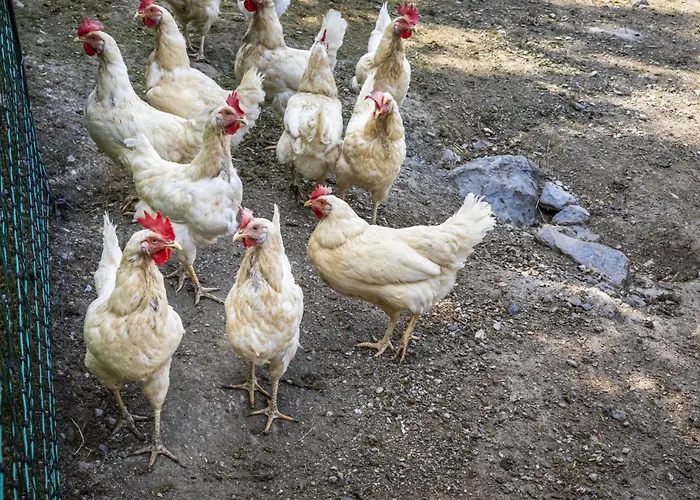 Apartamento Hanserbauer-2 By Interhome