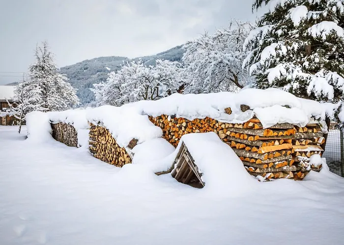 Hanserbauer-2 By Interhome * Saalfelden