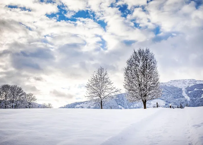 Hanserbauer-2 By Interhome * 萨菲登安斯泰内嫩米尔