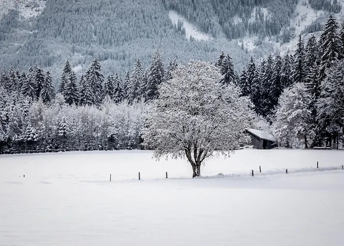 公寓 Hanserbauer-2 By Interhome *