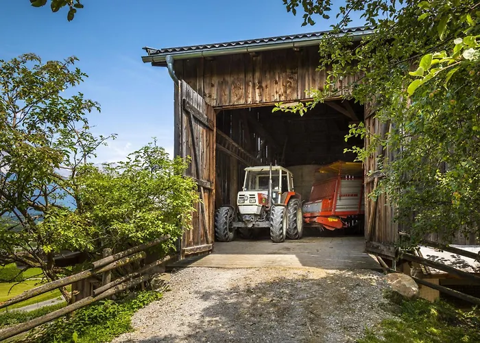 公寓 Hanserbauer-2 By Interhome 萨菲登安斯泰内嫩米尔