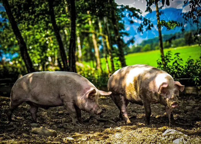 Hanserbauer-2 By Interhome Saalfelden