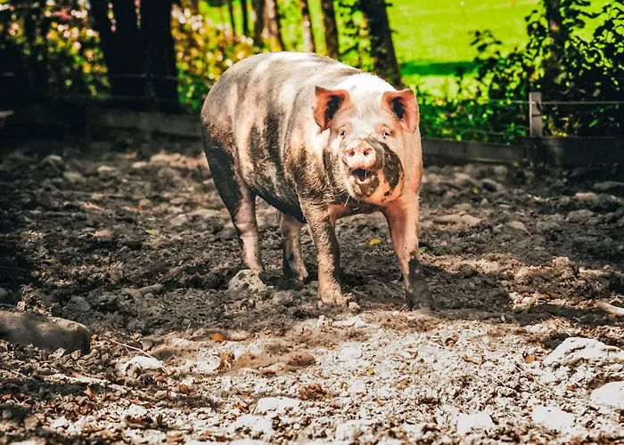 Hanserbauer-2 By Interhome Saalfelden