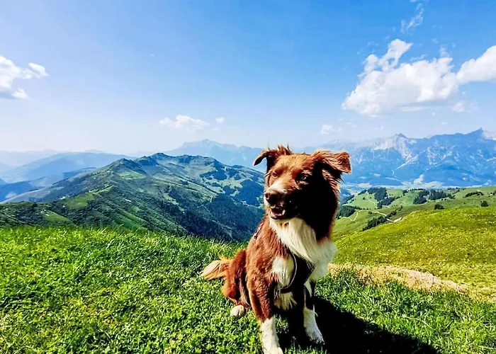 公寓 Hanserbauer-2 By Interhome *